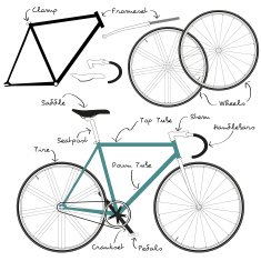 Fixie Bike