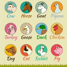 farm animal heads isolated N2