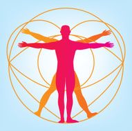 Human body Male anatomy