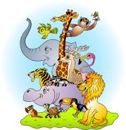 Variety of Various Exotic Zoo Animals Posing