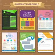 Corporate flyer bundle or set