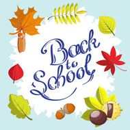 Calligraphic Back to school hand drawn surrounded by frame with
