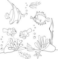 Coloring with Tropical Fish