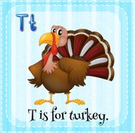 Turkey N4