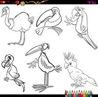 birds cartoon coloring page N2
