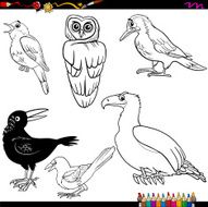 birds cartoon coloring page N3