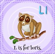 Loris