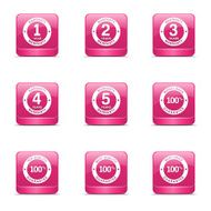 Warranty Guarantee Seal Square Vector Pink Icon Design Set N2