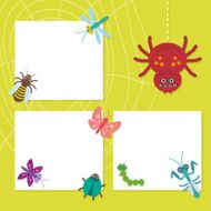 insects Spider butterfly caterpillar dragonfly mantis beetle wasp ladybugs card
