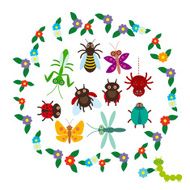 Funny insects Spider butterfly dragonfly mantis beetle wasp ladybugs
