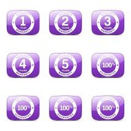 Warranty Guarantee Seal Square Vector Violet Icon Design Set N4