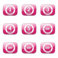 Warranty Guarantee Seal Square Vector Pink Icon Design Set N4