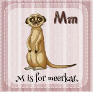 Meerkat N2