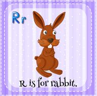 Rabbit N29