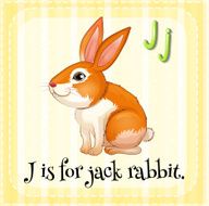 Rabbit N30