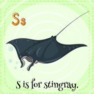 Stingray N2