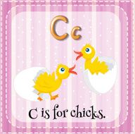 Chicks N2