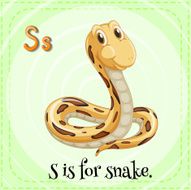 Snake N2
