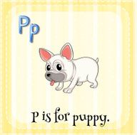 Puppy N4