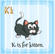 Kitten N16