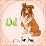 Flashcard D N2