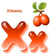 Letter X N11