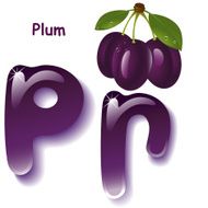 Letter P N17