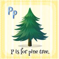 Alphabet P N3