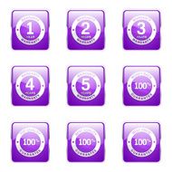 Warranty Guarantee Seal Square Vector Violet Icon Design Set N6