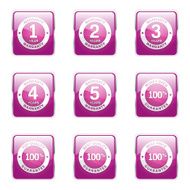 Warranty Guarantee Seal Square Vector Pink Icon Design Set N6