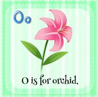 Letter O N11