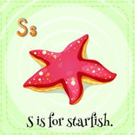 letter s N10