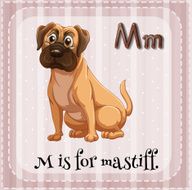 Letter M N20