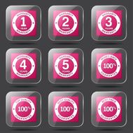 Warranty Guarantee Seal Square Vector Pink Icon Design Set N8