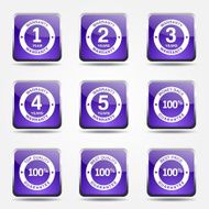 Warranty Guarantee Seal Square Vector Violet Icon Design Set N9