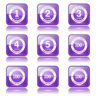 Warranty Guarantee Seal Square Vector Violet Icon Design Set N11