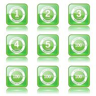 Warranty Guarantee Seal Square Vector Green Icon Design Set N11