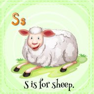 letter s N17