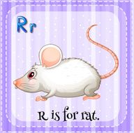 Letter R N15