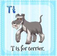 Letter T N15