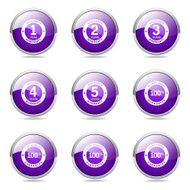 Warranty Guarantee Seal Violet Vector Button Icon Design Set N12