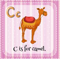 Letter C N34