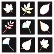 Nine Dark Leaf Squares! (vector illustration)