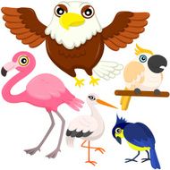 five colorful cute birds