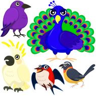 five colorful cute birds N2