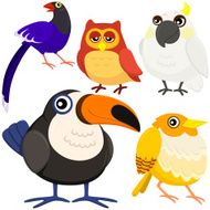 five colorful cute birds N3