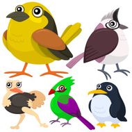 five colorful cute birds N4