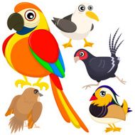 five colorful cute birds N5