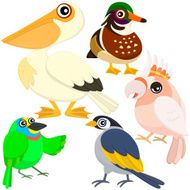 five colorful cute birds N7