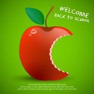 Back To School Background N171